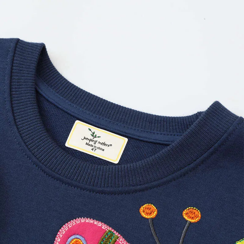 Blue children's sweatshirt with butterfly embroidery