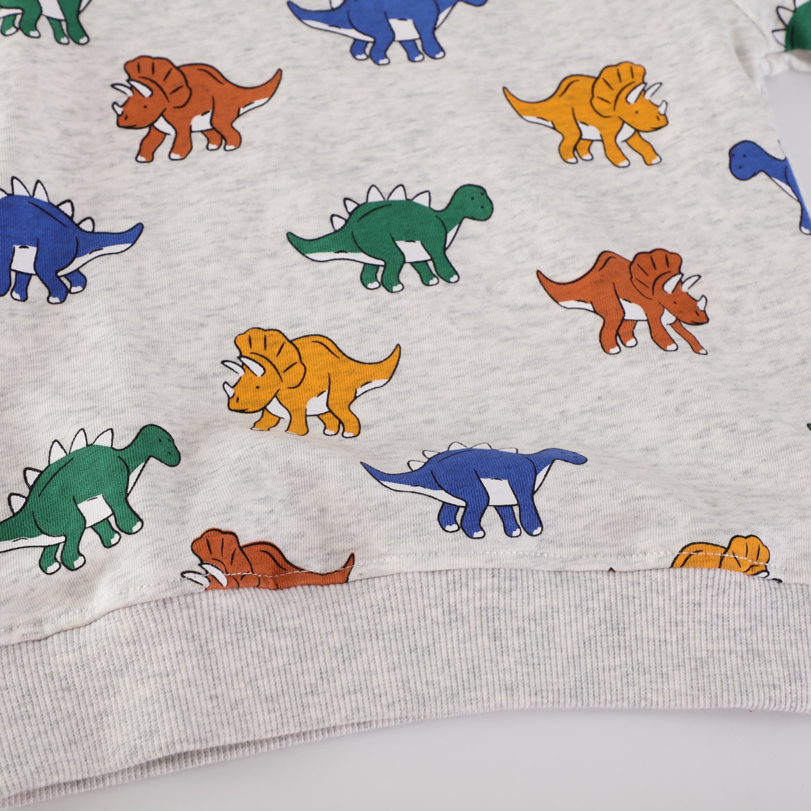 Gray Dinosaur Print Children's Sweatshirt