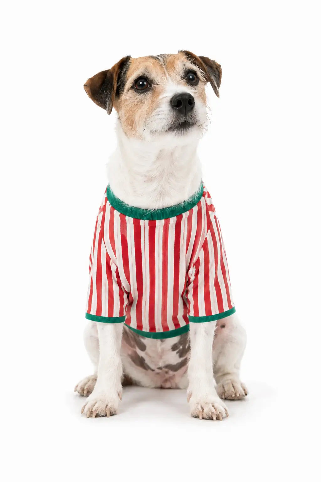 Holiday Can Striped Shirt Matching Family Christmas Pajamas-Dog Option Available