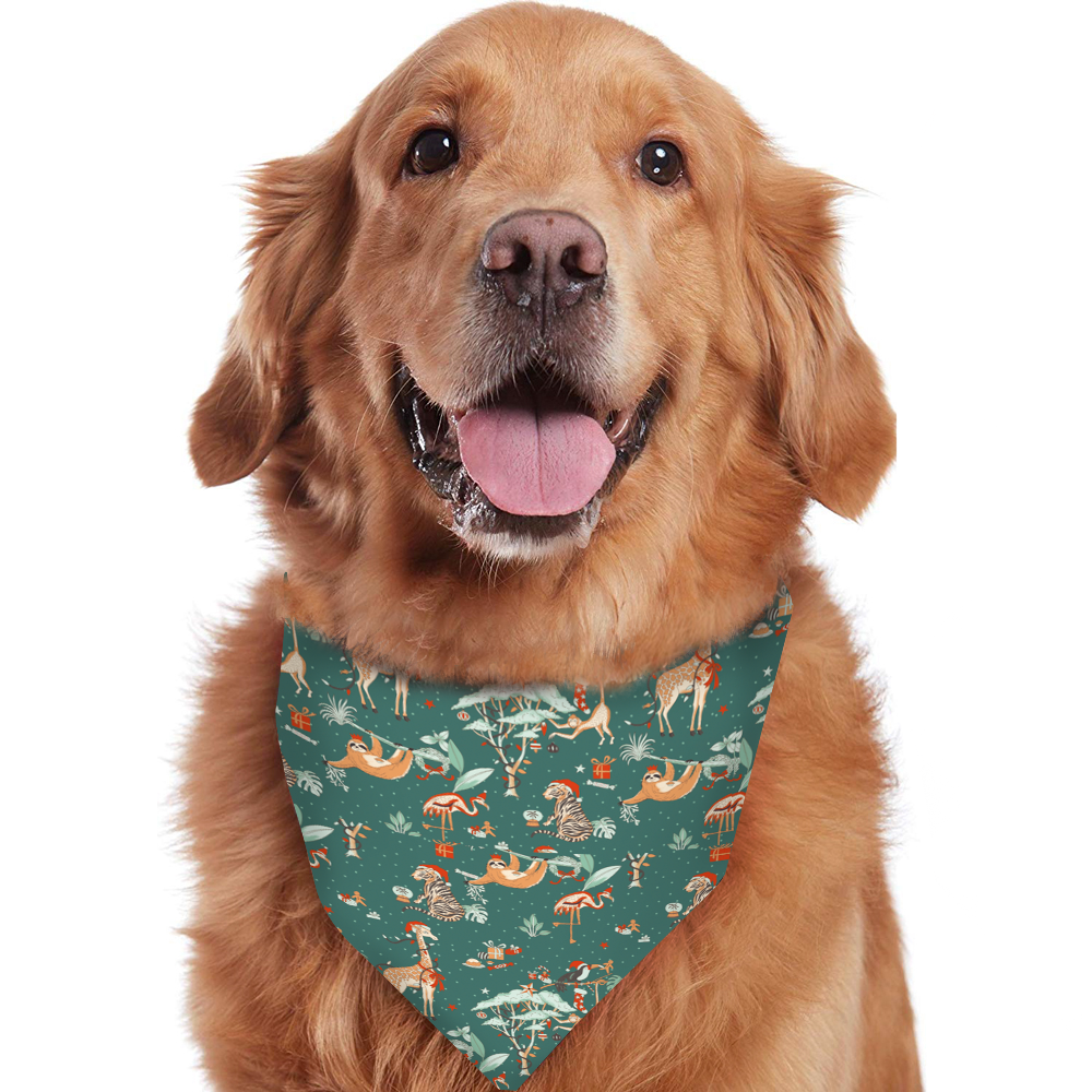 Green Cute Zoo Christmas Pajamas Flat Lay – Complete Matching Family and Dog Set