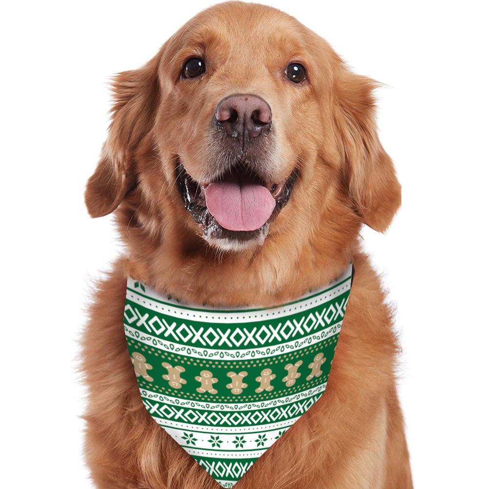 Green Gingerbread Christmas Pajamas Size Chart – Adults Kids Baby and Dog Sizes Available