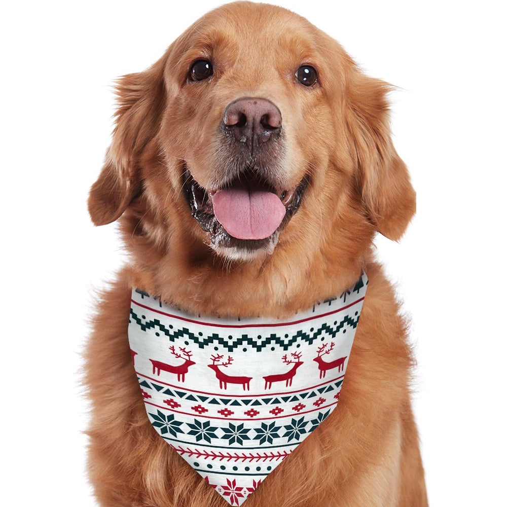 Christmas Tree Reindeer Pajamas Flat Lay – Complete Family and Dog Matching Set