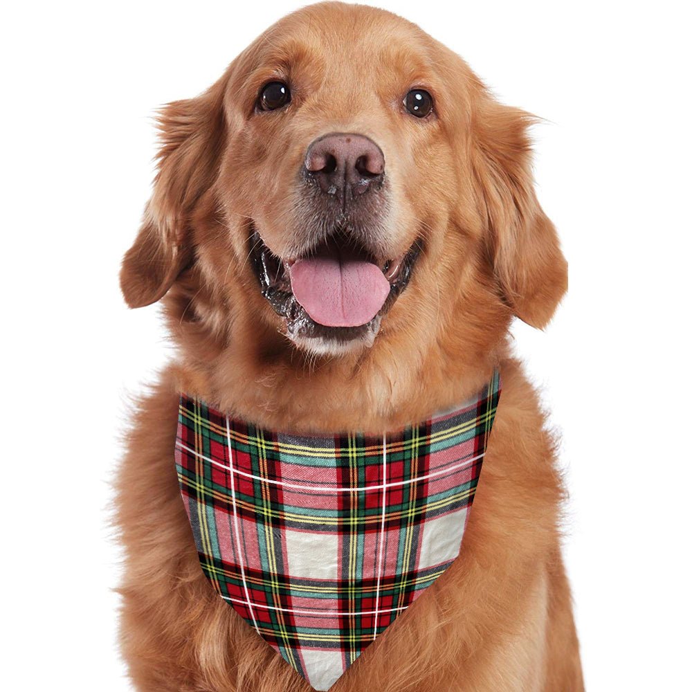 Mixed Color Plaid Christmas Pajamas Print Detail – Festive Holiday Plaid Close-Up