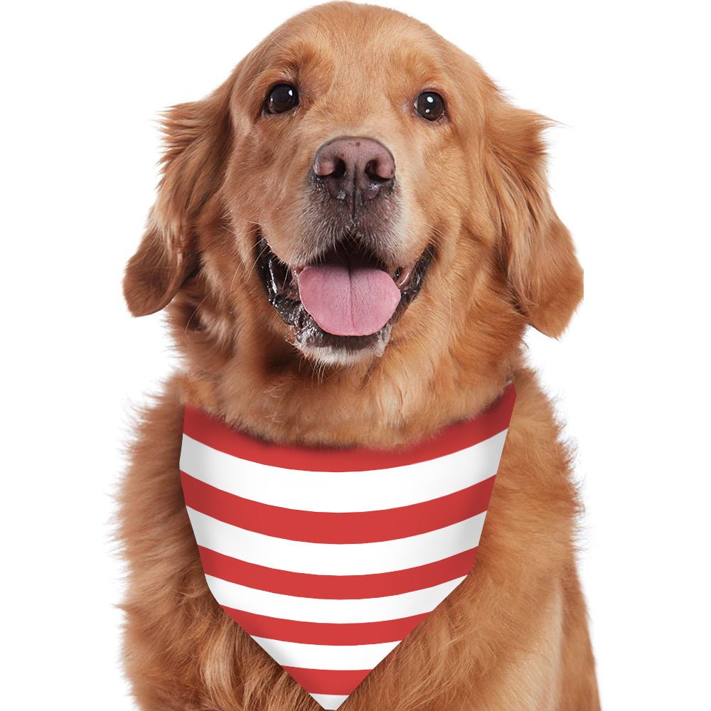 Red Stripe Round Collar Christmas Pajamas Lifestyle Photo – Family Holiday Sleepwear