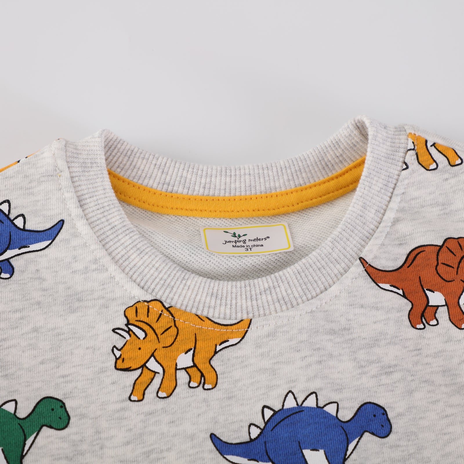 Gray Dinosaur Print Children's Sweatshirt