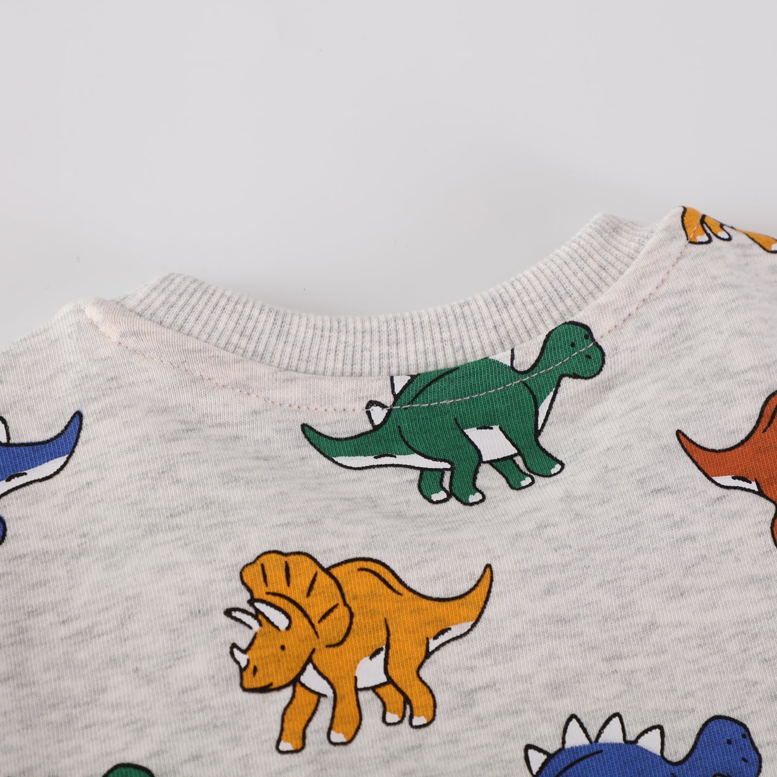 Gray Dinosaur Print Children's Sweatshirt