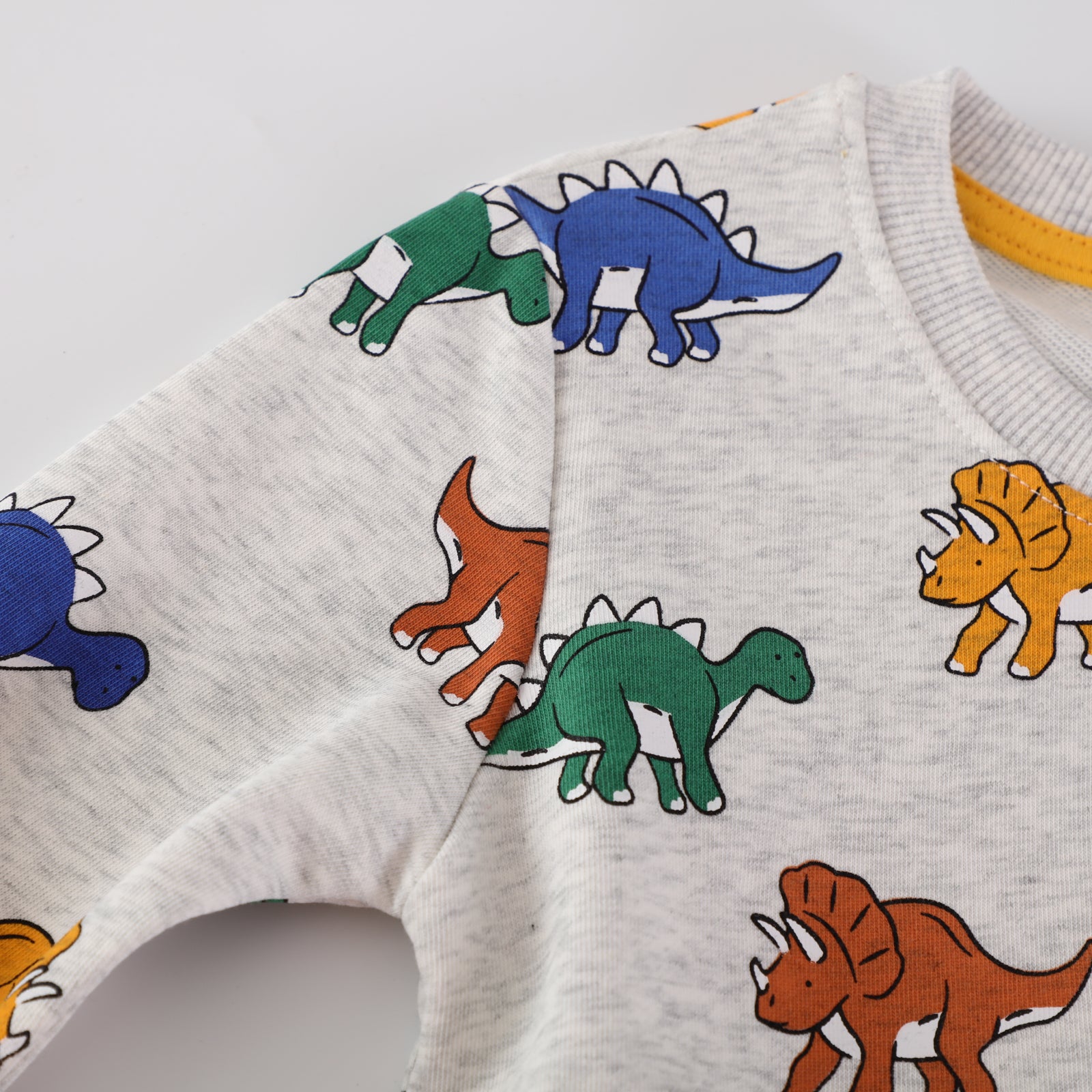 Gray Dinosaur Print Children's Sweatshirt