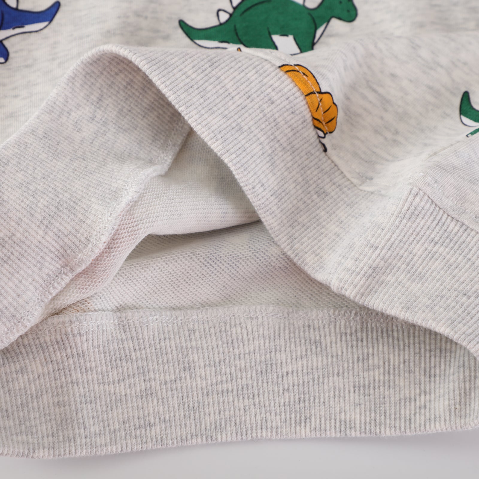 Gray Dinosaur Print Children's Sweatshirt