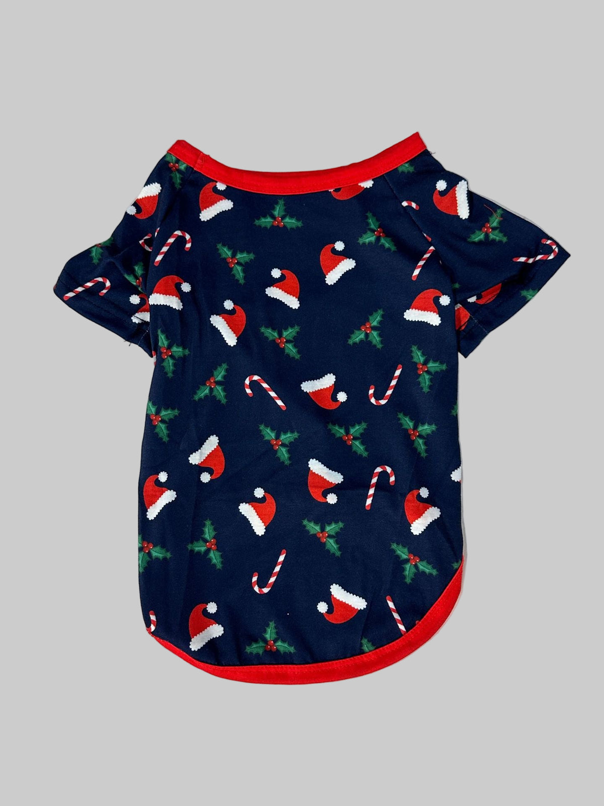 Blue Holiday Christmas Pajamas Flat Lay – Complete Matching Family and Dog Set