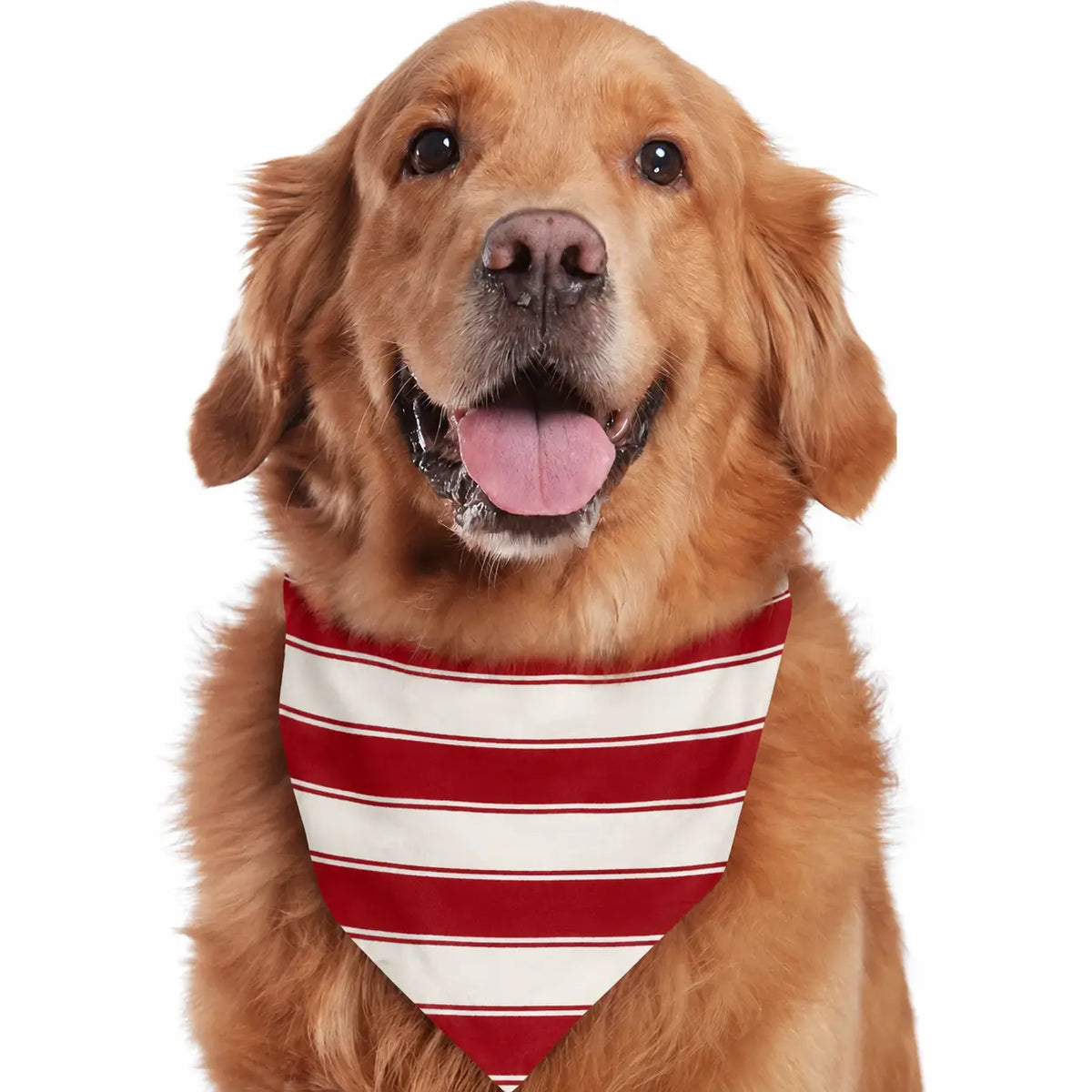 Red and White Stripe Round Collar Matching Family Christmas Pajamas-Dog Pajamas Included