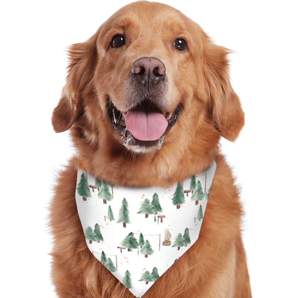 White Little Christmas Tree Pajamas Flat Lay – Complete Matching Family and Dog Set