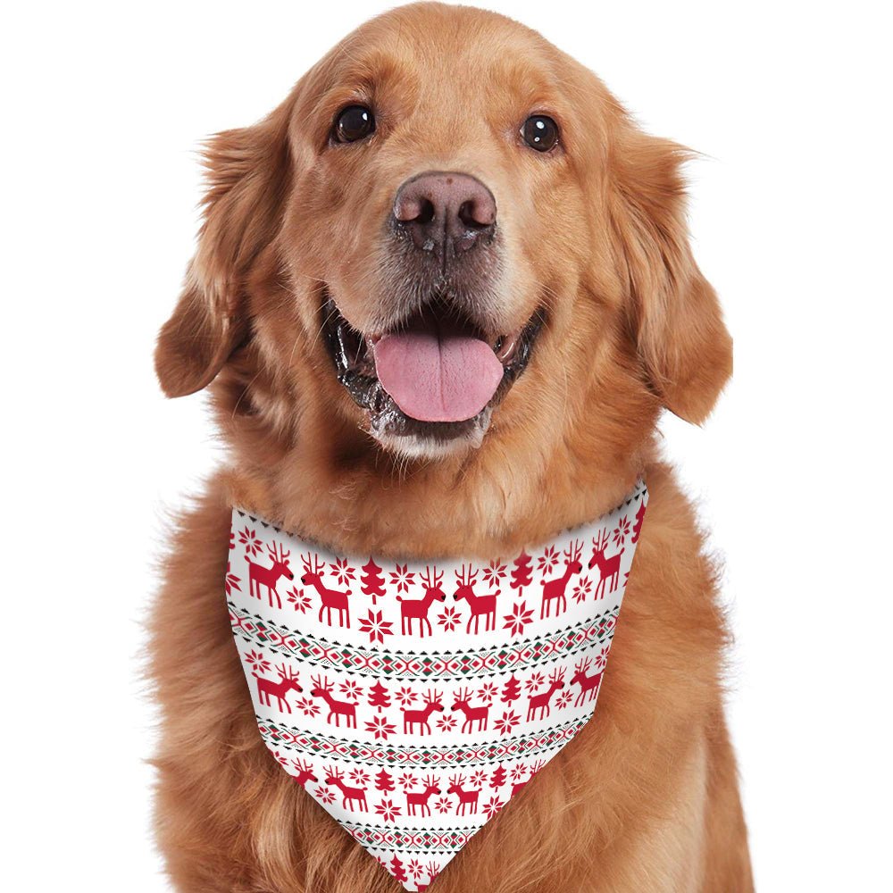 Golden retriever con bandana natalizia bianca con renne e fiocchi di neve rossi e fasce verdi a fantasia.